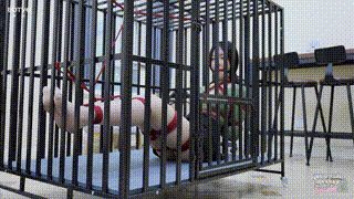 YT2380 台长,我皮痒了